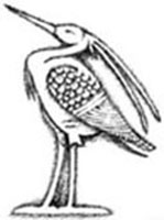 Bennu Bird Right